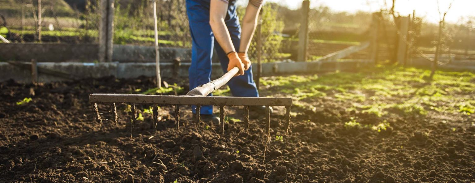 How to make garden soil and how to make it right Sunshine Mitre 10