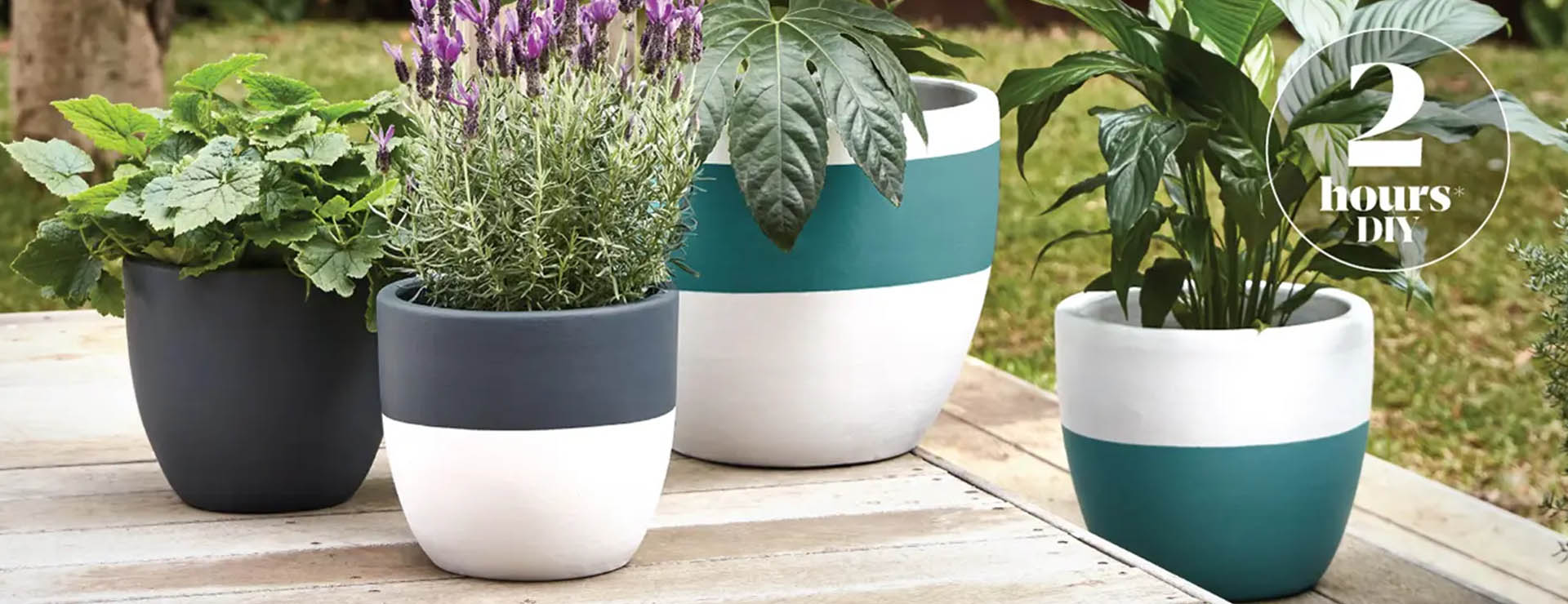 Paint Your Outdoor Pots Sunshine Mitre 10   Paint Your Outdoor Pots 